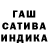 Каннабис сатива Carlo Massimo