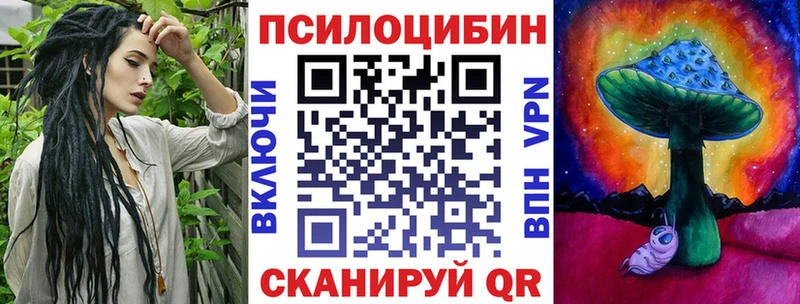 Купить где  Великий Устюг  Псилоцибиновые грибы Cubensis 